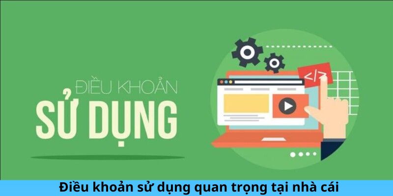 Điều khoản sử dụng là nhân tố cùng quan trọng