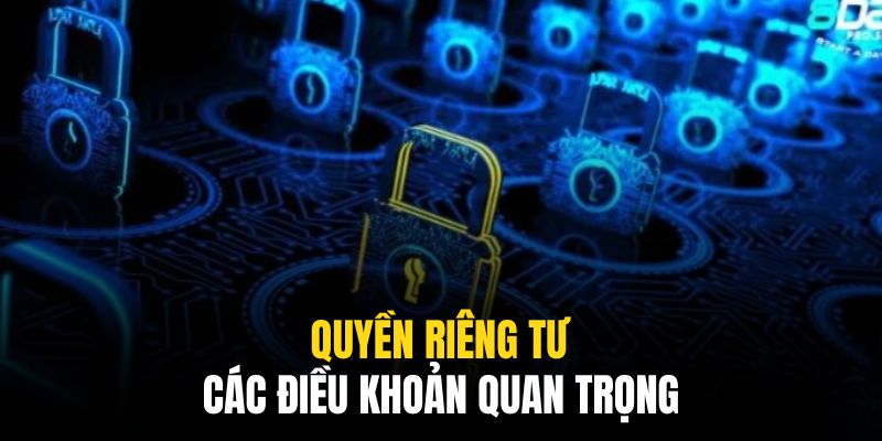 Hiểu rõ thông tin chi tiết được quy định trong quyền riêng tư